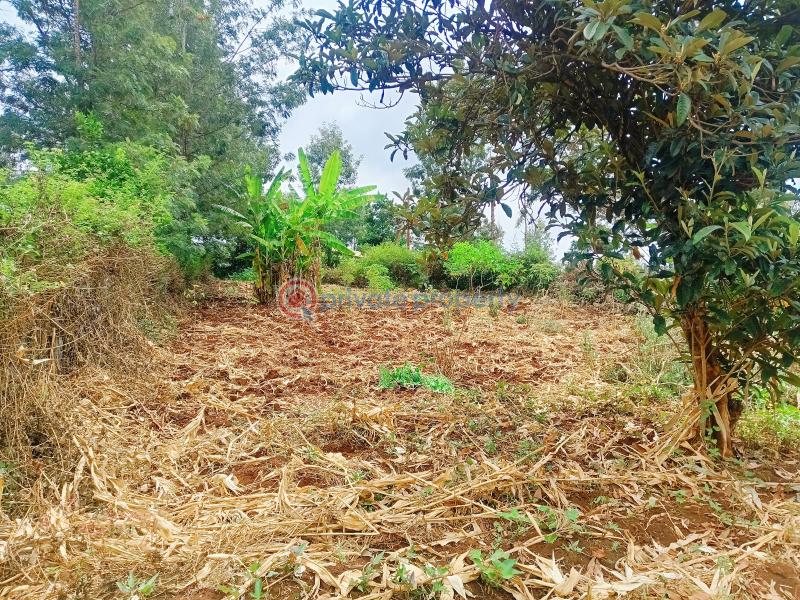 Residential Land For Sale Olkeri Matasia Ngong Kajiado - 6