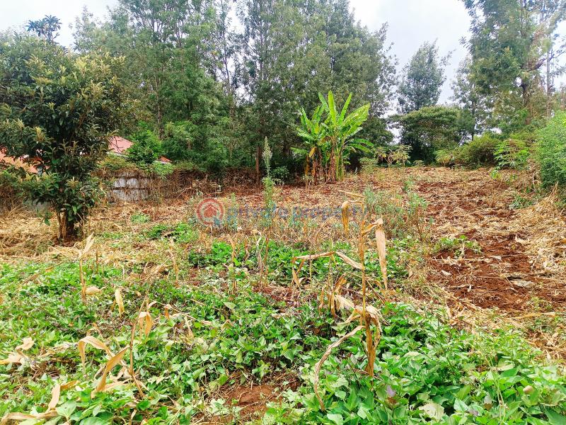 Residential Land For Sale Olkeri Matasia Ngong Kajiado - 4