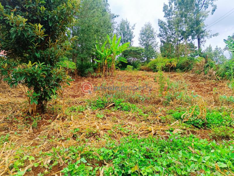 Residential Land For Sale Olkeri Matasia Ngong Kajiado - 5