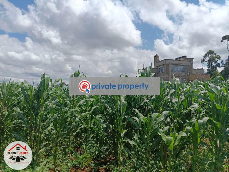 Residential Land For Sale &nbsp;nairobi Ndogo Estate Gikambura Kikuyu Kiambu - 4