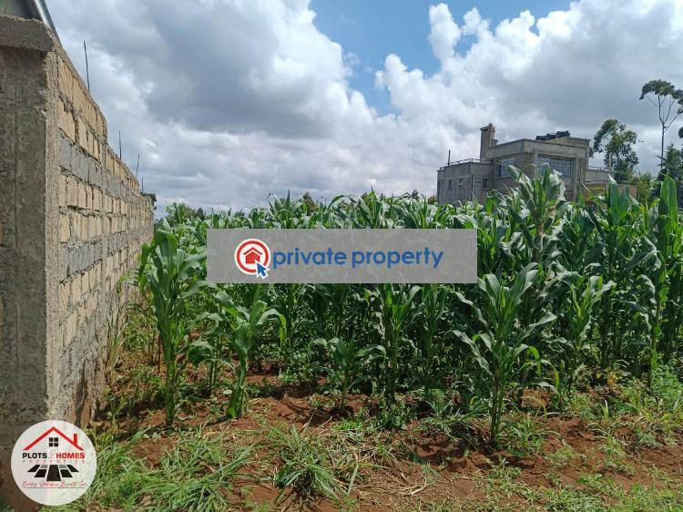 Residential Land For Sale &nbsp;nairobi Ndogo Estate Gikambura Kikuyu Kiambu - 6