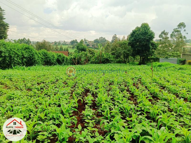 Mixed use Land For Sale Kikuyu Town Kikuyu. Kiambu - 6