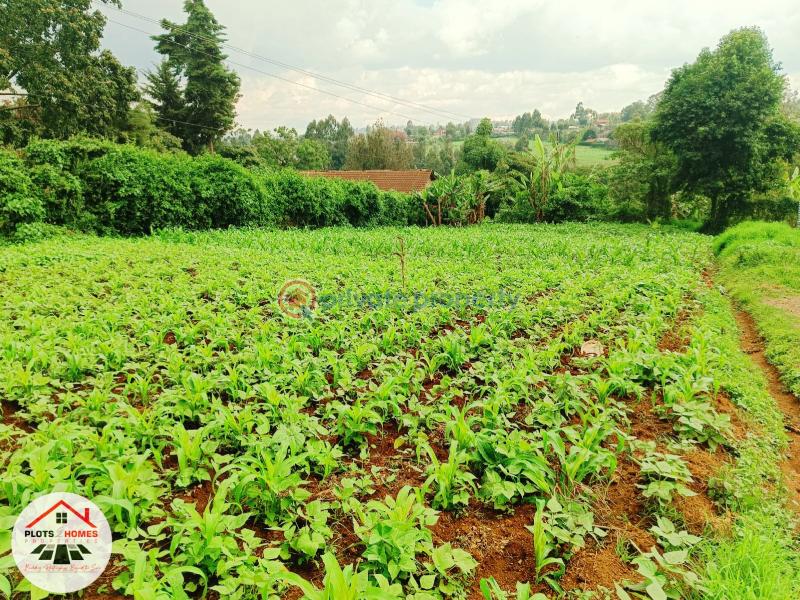 Mixed use Land For Sale Kikuyu Town Kikuyu. Kiambu - 7