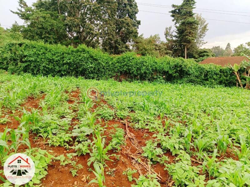 Mixed use Land For Sale Kikuyu Town Kikuyu. Kiambu - 8