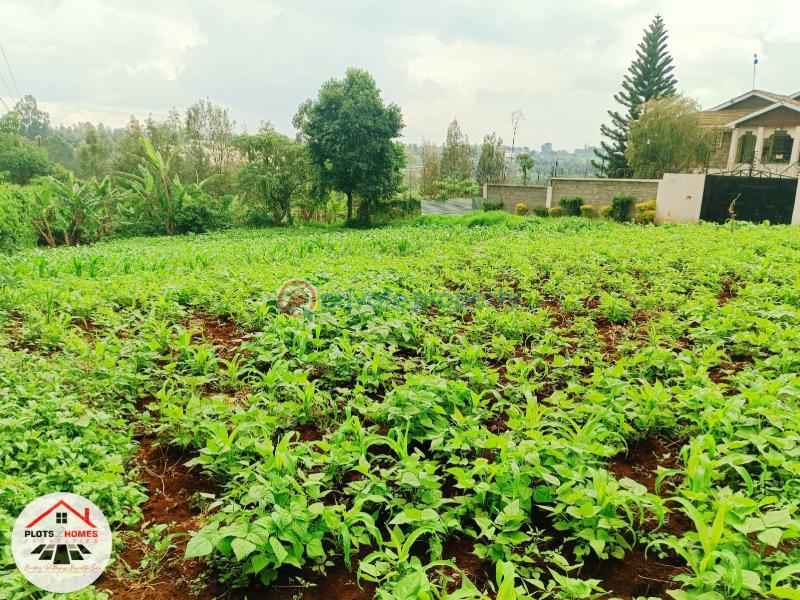 Mixed use Land For Sale Kikuyu Town Kikuyu. Kiambu - 4