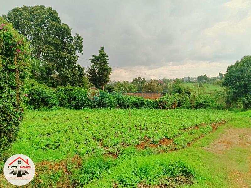 Mixed use Land For Sale Kikuyu Town Kikuyu. Kiambu - 9