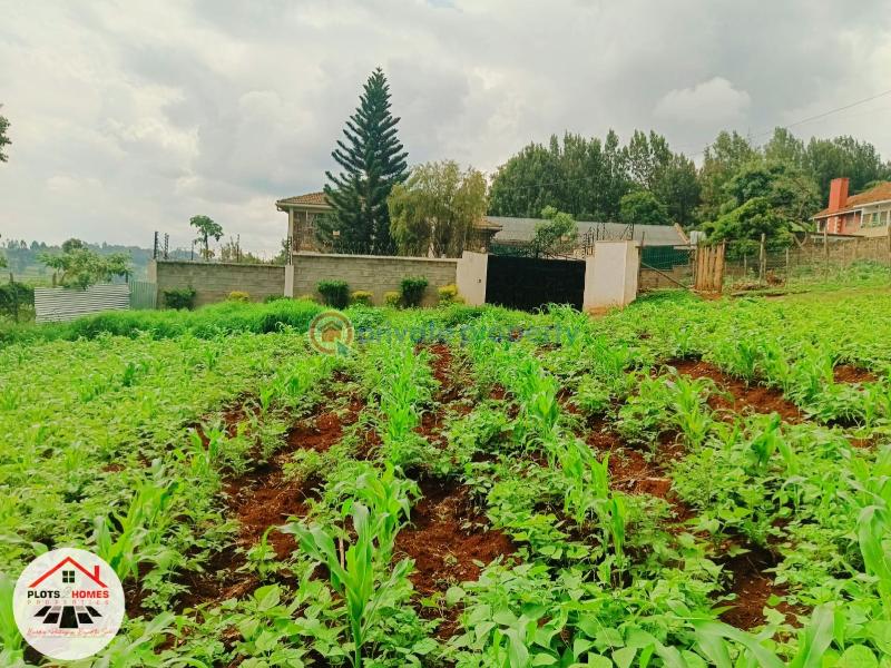 Mixed use Land For Sale Kikuyu Town Kikuyu. Kiambu - 3