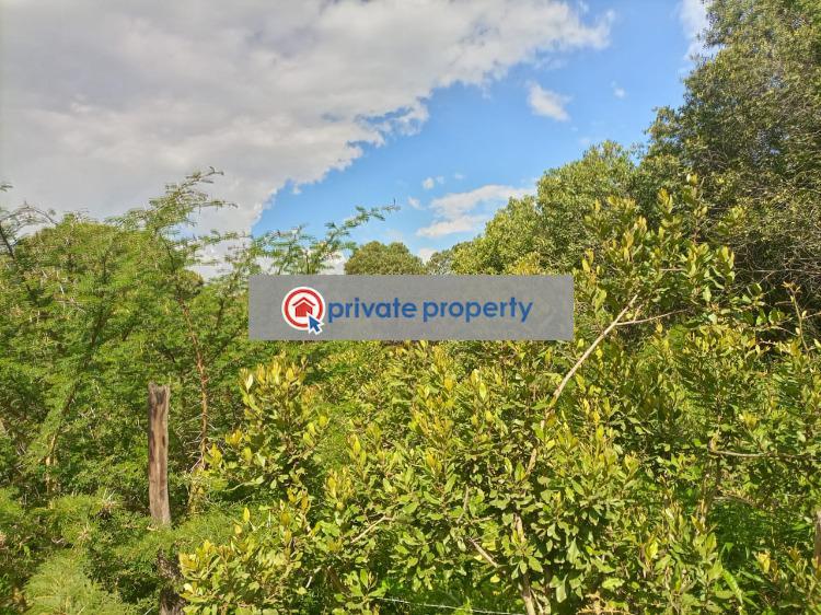 Commercial Land For Sale &nbsp;burguret (subdivision Nanyuki Laikipia - 6