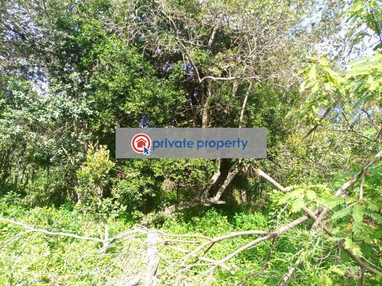 Commercial Land For Sale &nbsp;burguret (subdivision Nanyuki Laikipia - 1