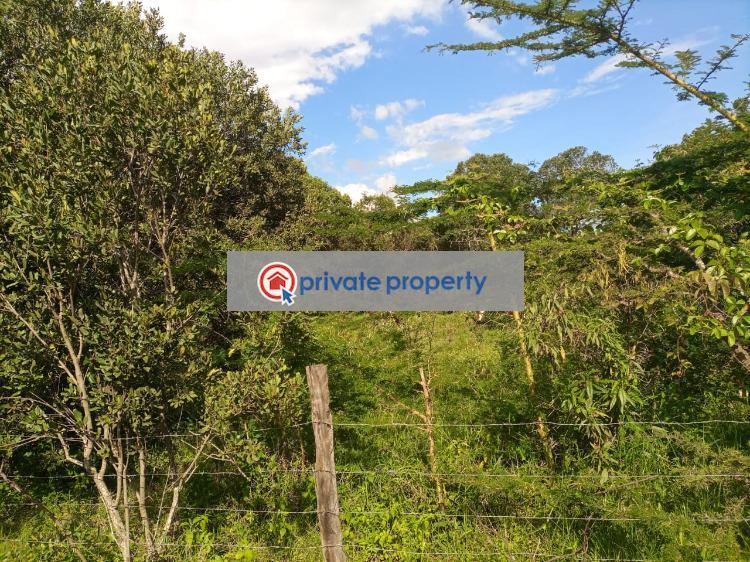 Commercial Land For Sale &nbsp;burguret (subdivision Nanyuki Laikipia - 4