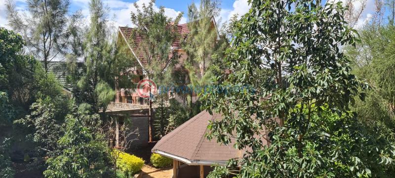 4 bedroom House For Sale Kenyatta Road Ruiru Kiambu - 7