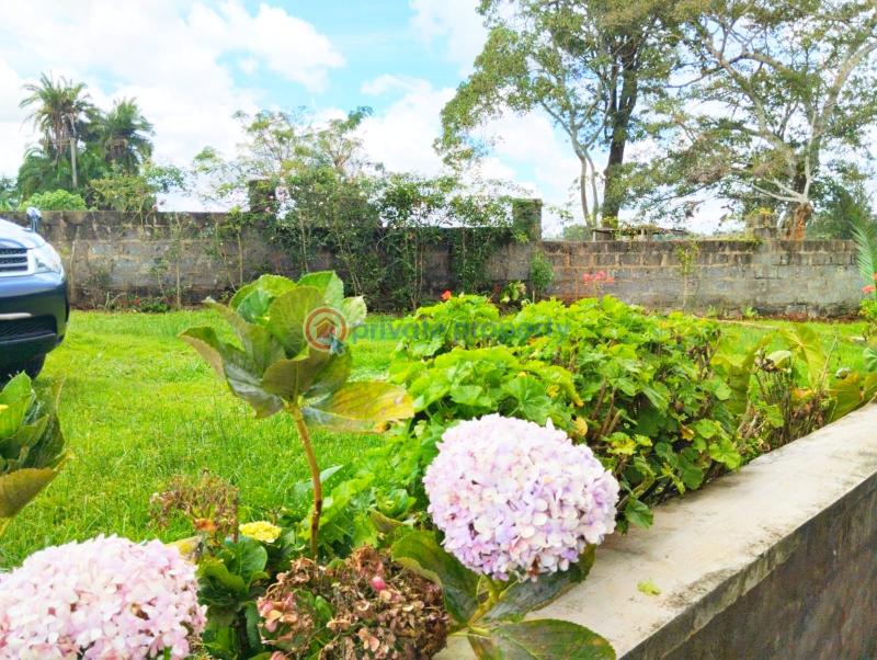 4 bedroom Detached Bungalow For Rent Redhill Tigoni. Kiambu - 21