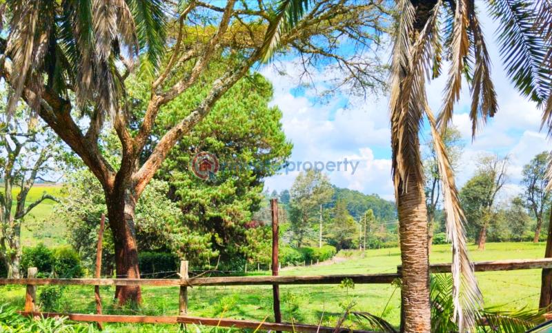 4 bedroom Detached Bungalow For Rent Redhill Tigoni. Kiambu - 22