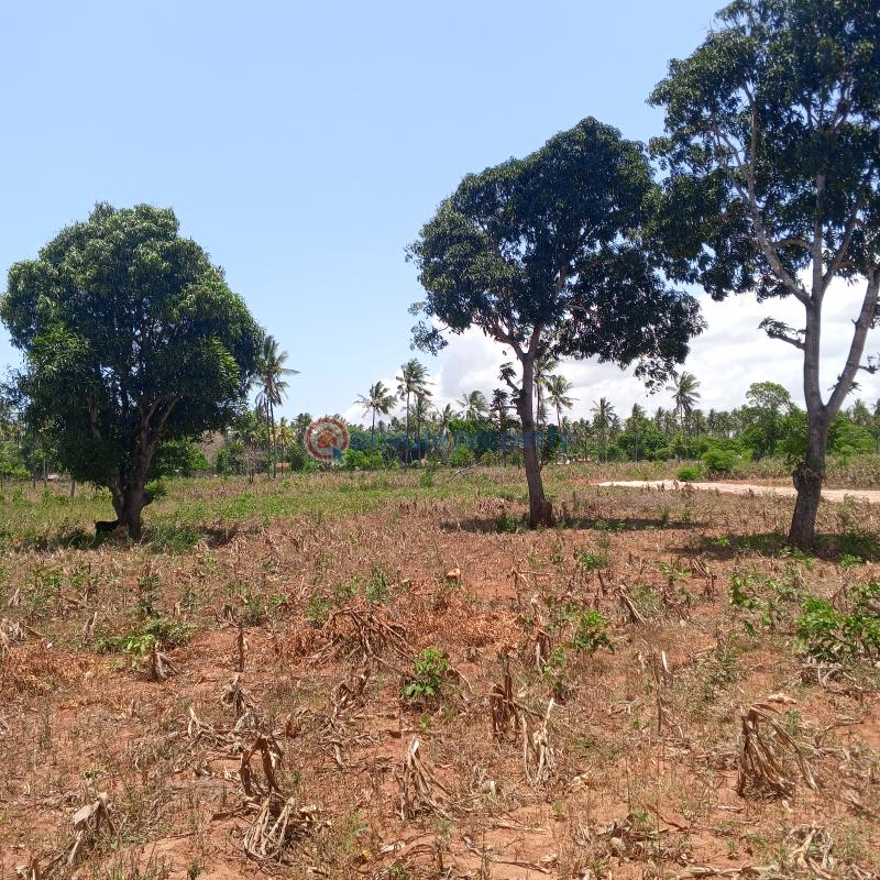 Mixed use Land For Sale Chumani Matsangoni Kilifi - 2