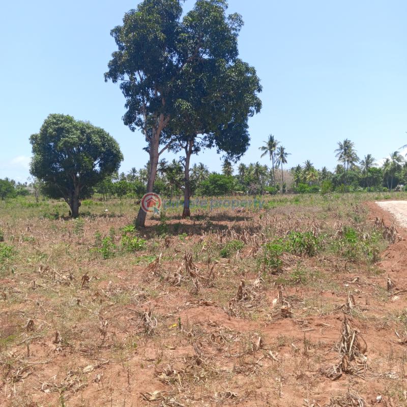 Mixed use Land For Sale Chumani Matsangoni Kilifi - 6