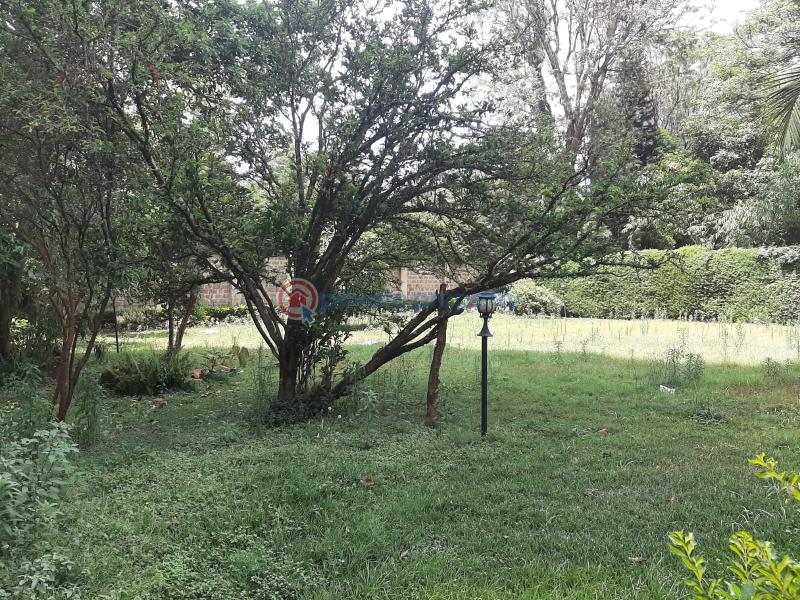 6 bedroom Commercial Property For Sale Gigiri new Kitisuru Nairobi - 23