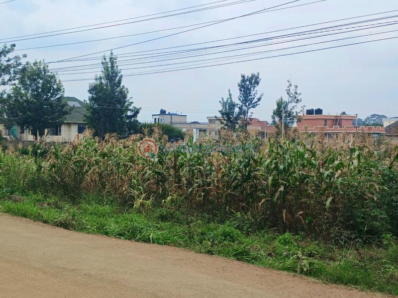 Commercial Land For Sale Ruiru Kiambu - 1