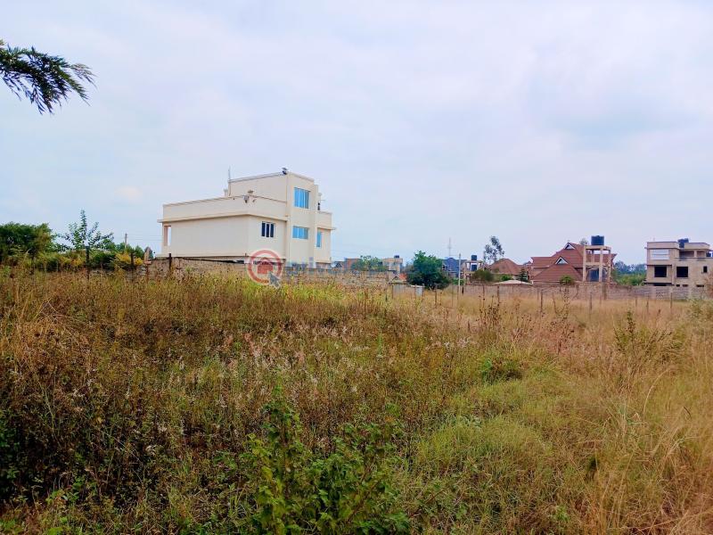 Land For Sale Croton Estate – Kenyatta Road Kenyatta Road Ruiru Kiambu - 6