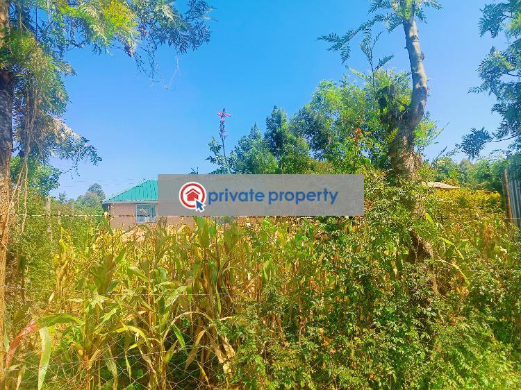 Residential Land For Sale &nbsp;thigio Thigio Kikuyu Kiambu - 15