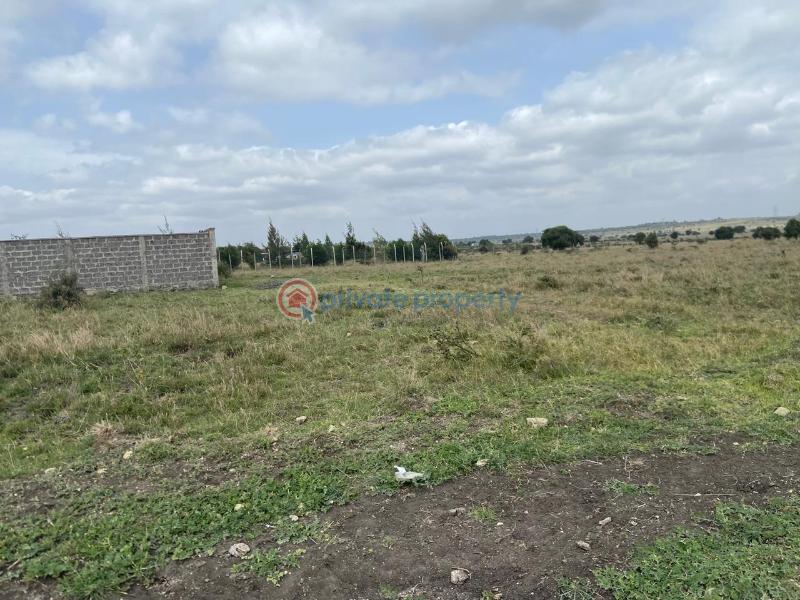 Land For Sale Ostrich Farm Olturoto Shopping Centre Kitengela Kajiado - 7