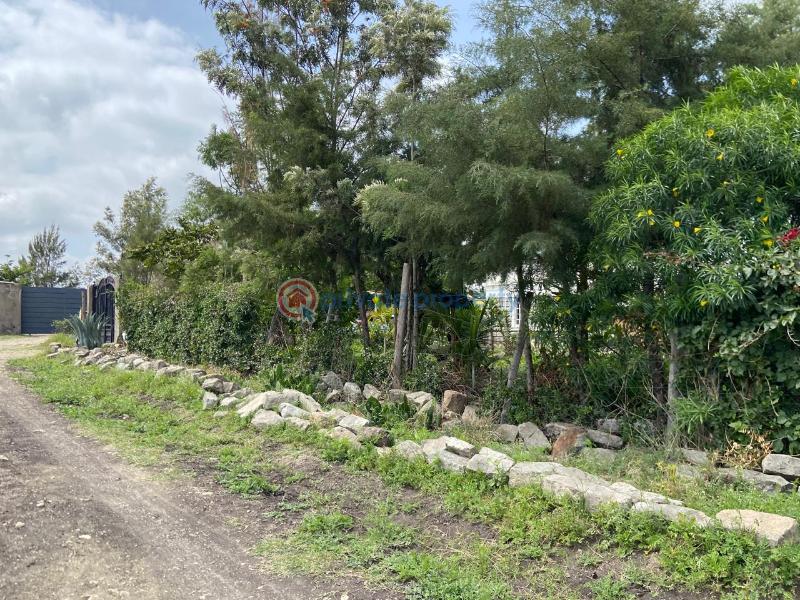 Land For Sale Ostrich Farm Olturoto Shopping Centre Kitengela Kajiado - 1
