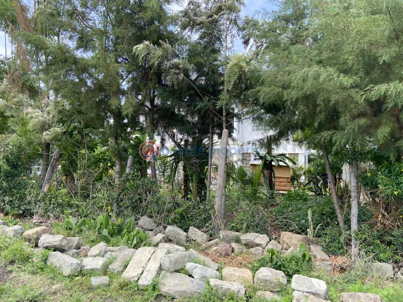 Land For Sale Ostrich Farm Olturoto Shopping Centre Kitengela Kajiado - 9