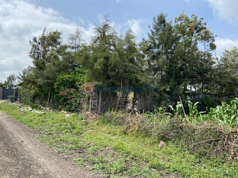 Land For Sale Ostrich Farm Olturoto Shopping Centre Kitengela Kajiado - 10