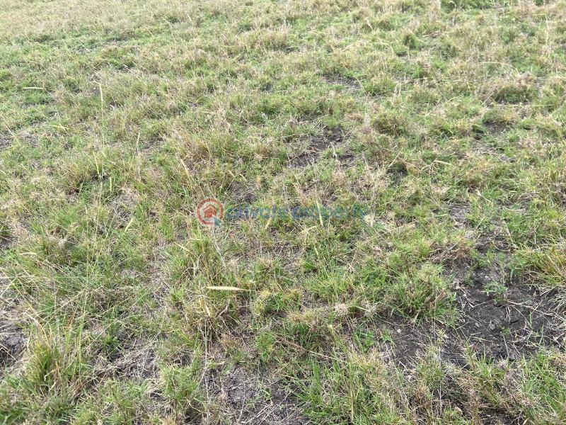 Land For Sale Ostrich Farm Olturoto Shopping Centre Kitengela Kajiado - 3