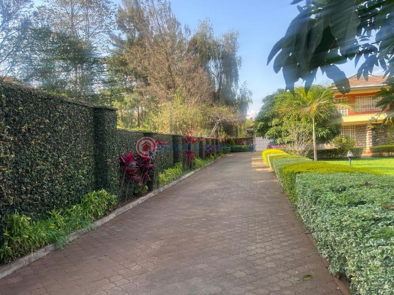 4 bedroom House For Rent Runda Westlands Nairobi - 6