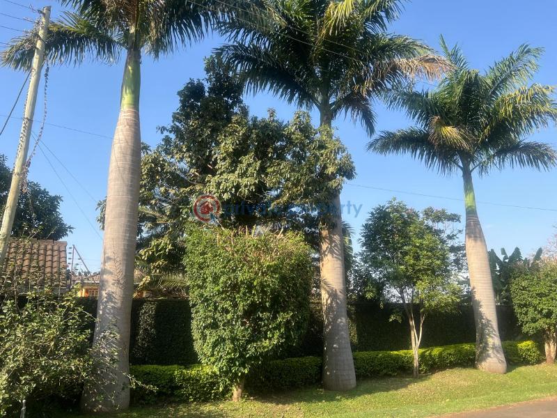 4 bedroom House For Rent Runda Westlands Nairobi - 8