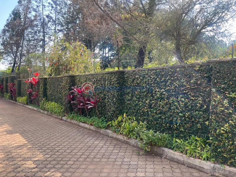 4 bedroom House For Rent Runda Westlands Nairobi - 9