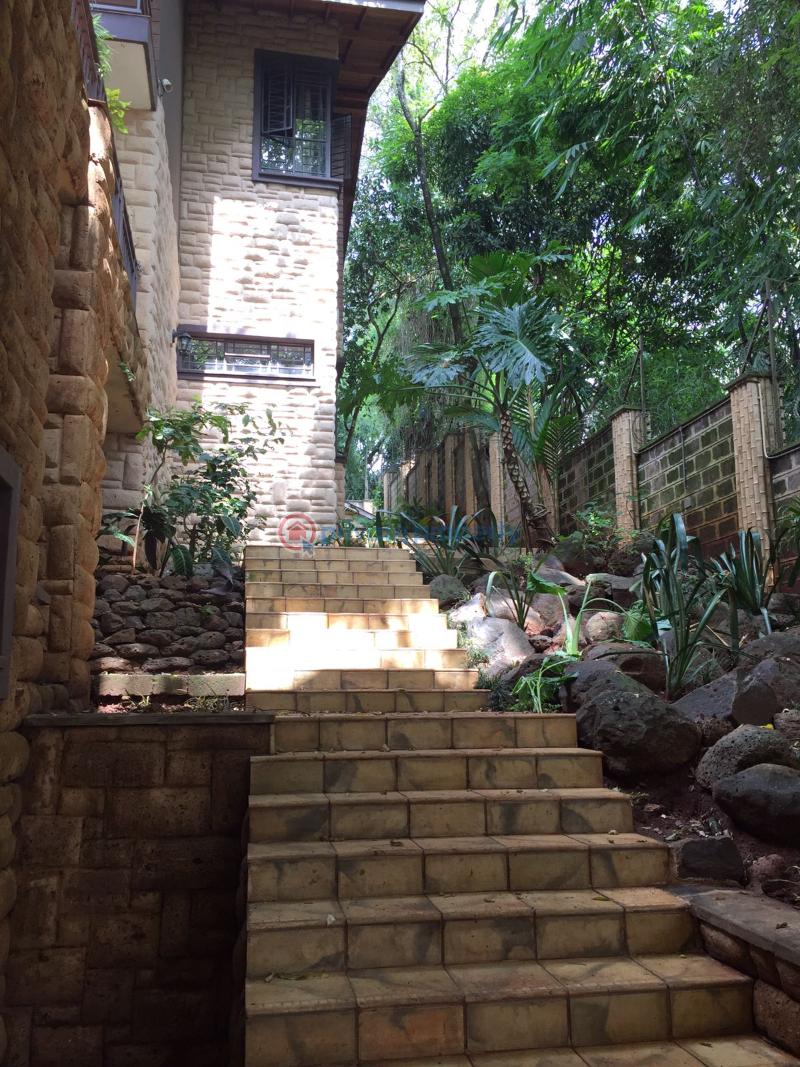 Apartment For Rent Spring Valley Nairobi - 14