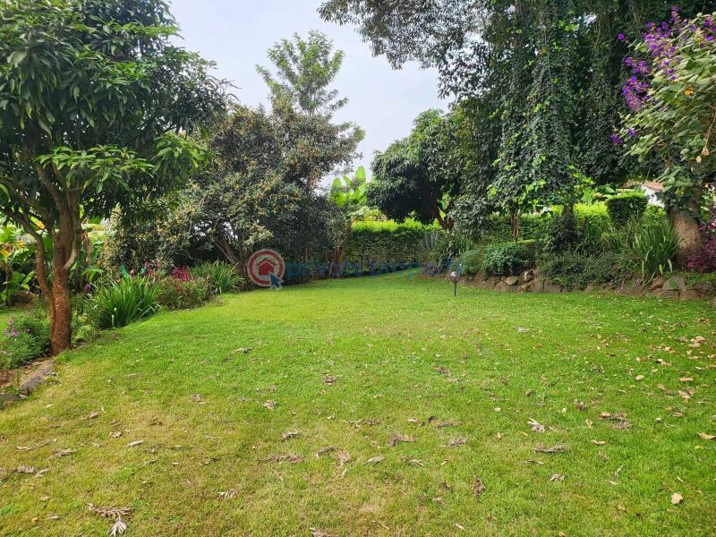 4 bedroom Townhouse For Rent Executive 4 Bedroom House – Rosslyn Rosslyn Westlands Nairobi - 11