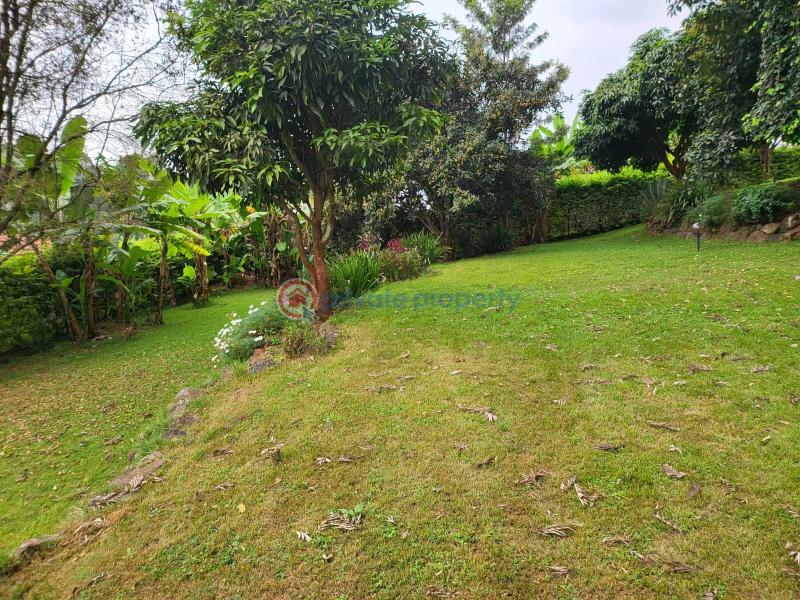 4 bedroom Townhouse For Rent Executive 4 Bedroom House – Rosslyn Rosslyn Westlands Nairobi - 8