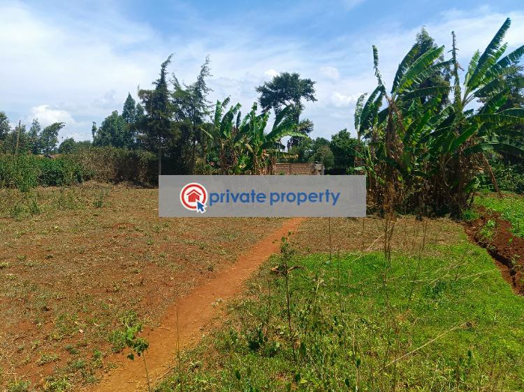 Residential Land For Sale &nbsp;musa Gitau Thogoto Kikuyu Kiambu - 2