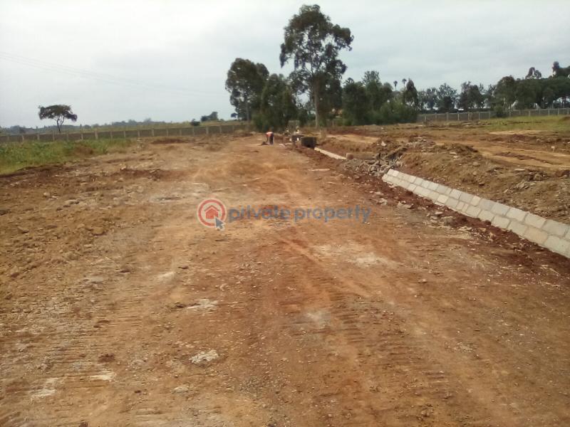Land For Sale Kenyatta Rd Juja Kiambu - 2