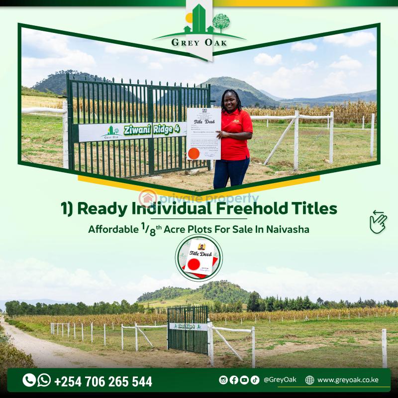 Mixed use Land For Sale moi South Lake Road Naivasha East Nakuru - 16