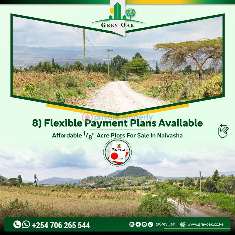Mixed use Land For Sale moi South Lake Road Naivasha East Nakuru - 4