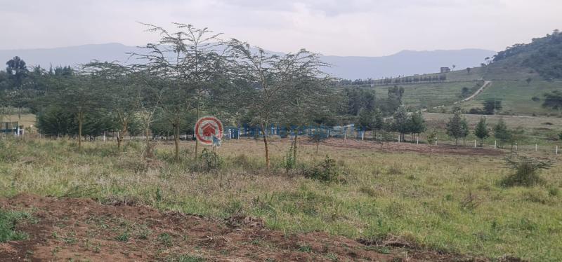 Mixed use Land For Sale moi South Lake Road Naivasha East Nakuru - 17