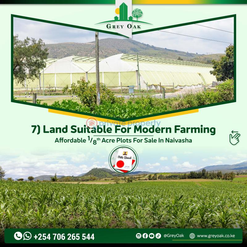 Mixed use Land For Sale moi South Lake Road Naivasha East Nakuru - 5