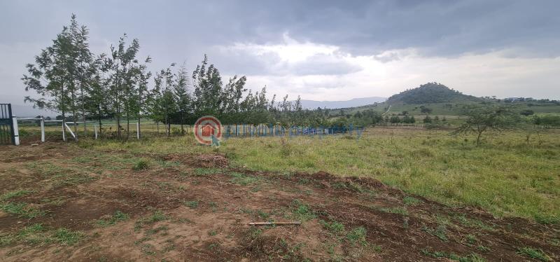 Mixed use Land For Sale moi South Lake Road Naivasha East Nakuru - 18