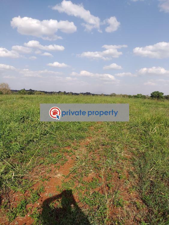 Residential Land For Sale &nbsp;tatu Area Ruiru Kiambu - 2