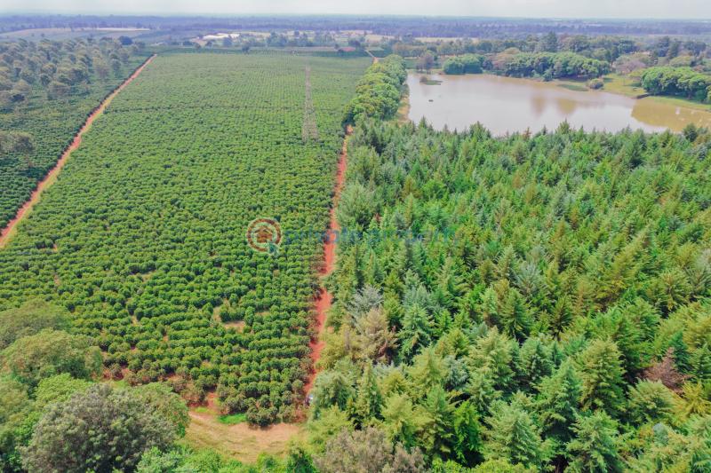 Residential Land For Sale Zuri Springs Estate Juja Kiambu - 33