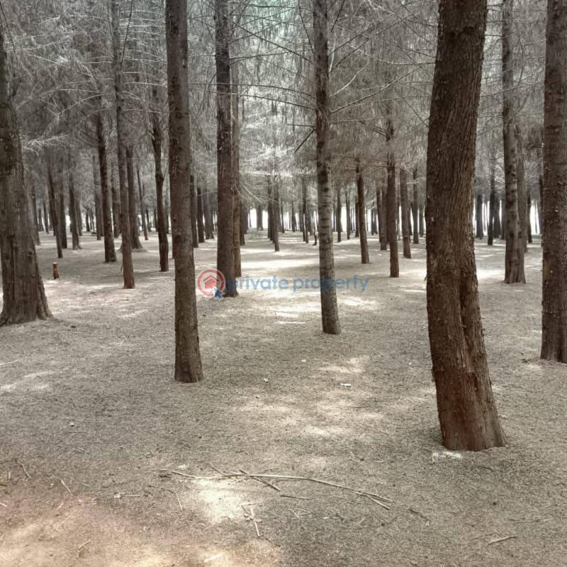 Residential Land For Sale Zuri Springs Estate Juja Kiambu - 34