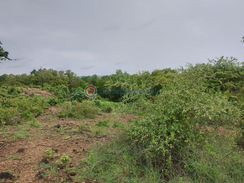 Land For Sale Diani Likoni Mombasa - 0