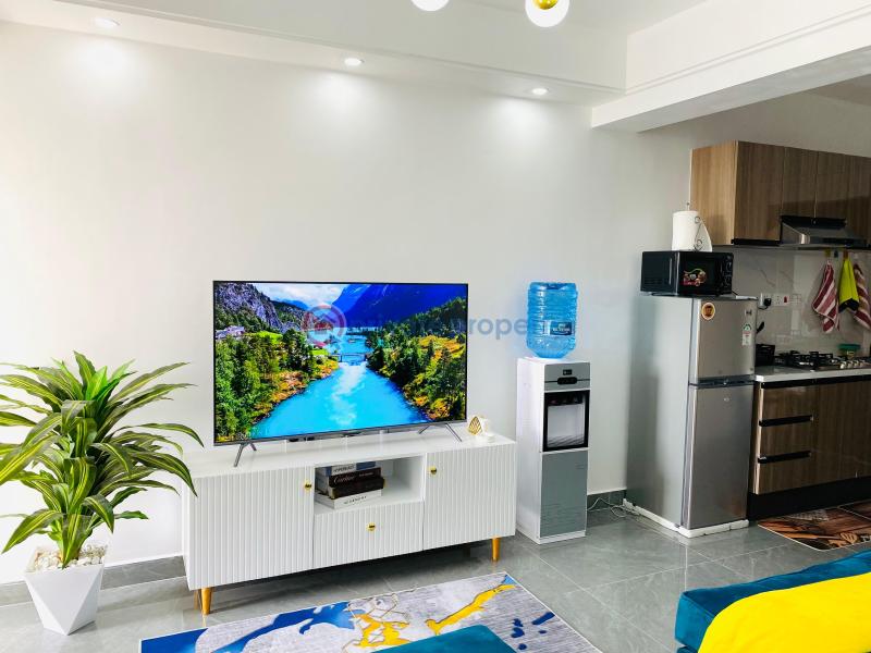 1 bedroom Apartment For Rent Riverside Westlands Road Nairobi - 0