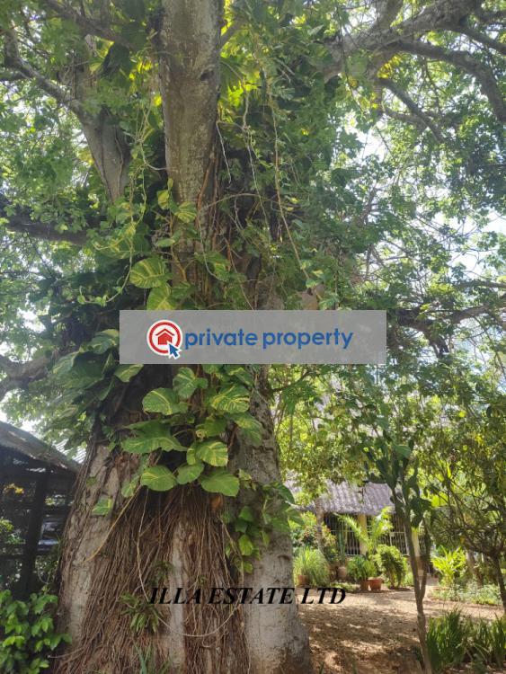 3 bedroom House For Sale &nbsp;diani Beach Road Ukunda Kwale - 9