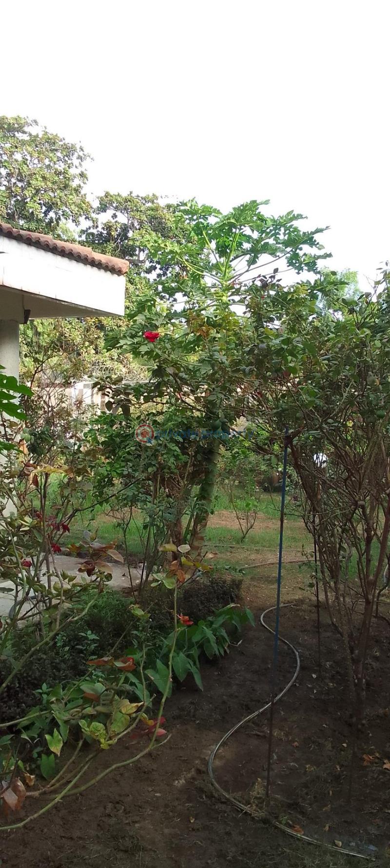 4 bedroom Townhouse For Sale Jomo Kenyatta Road, Old Nyali Nyali Mombasa  - 4
