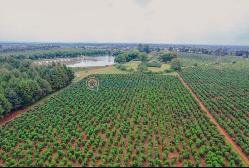 Residential Land For Sale Zuri Springs Estate Juja Kiambu - 31