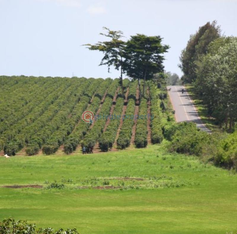 Residential Land For Sale Zuri Springs Estate Juja Kiambu - 33